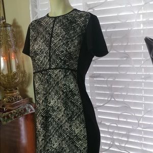 Narciso Rodriguez for Design Nation Dress‎ Sz S